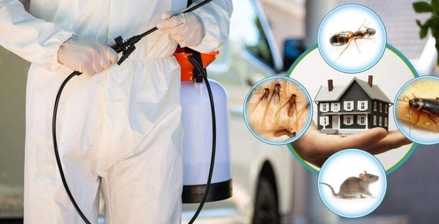 Bozdoğan Böcek İlaçlama