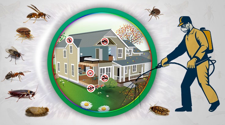 Bozdoğan Böcek İlaçlama