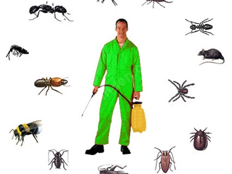 Bozdoğan Böcek İlaçlama